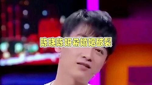 娱乐陈晓吃瓜,娱乐圈的“瓜田”再起波澜