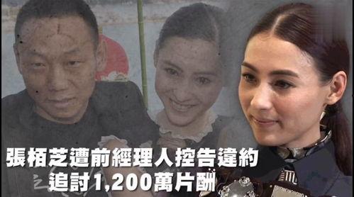 娱乐吃瓜55,揭秘娱乐圈幕后故事，带你领略明星真实生活