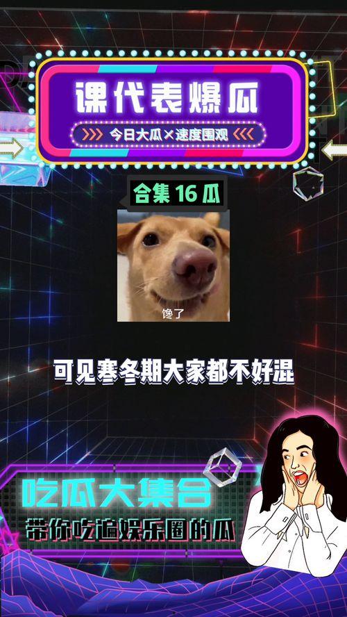 娱乐吃瓜教程在线观看,跟随娱乐教程，轻松解锁追剧乐趣