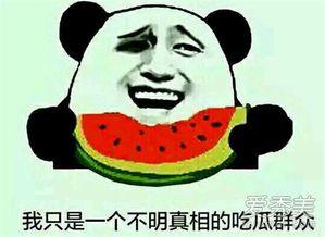 娱乐吃瓜的配音是什么意思,揭秘“娱乐吃瓜”配音背后的趣味与魅力