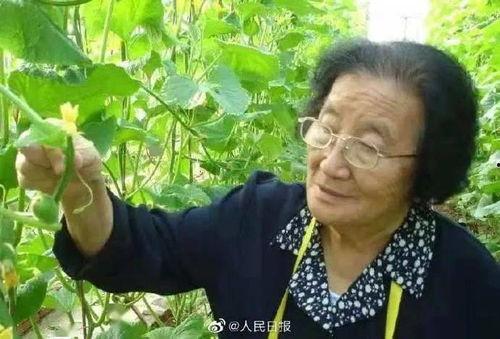 娱乐吃瓜酱中国本土的,揭秘中国本土娱乐圈的幕后故事