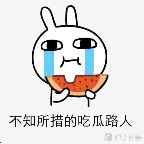 胡扯娱乐吃瓜,揭秘娱乐圈吃瓜群众的狂欢盛宴