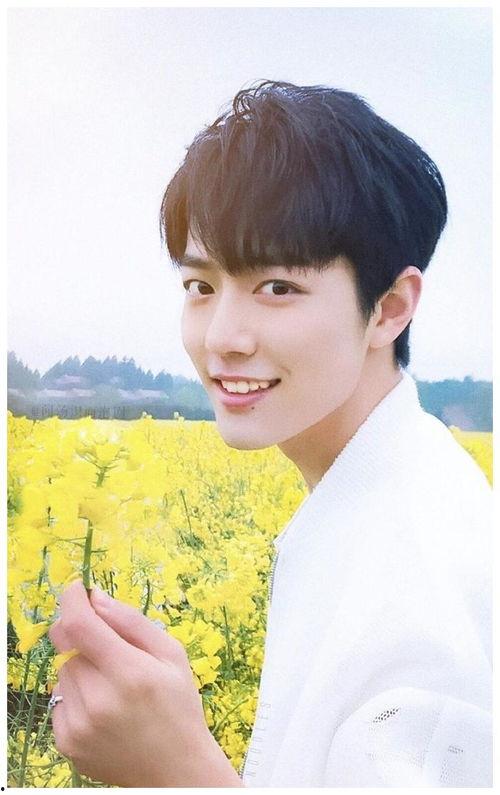 娱乐圈吃瓜明星代号肖战,娱乐圈神秘吃瓜明星的崛起之路