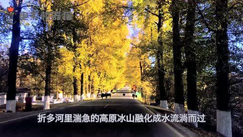 娱乐吃瓜鱼塘,吃瓜鱼塘里的那些事儿