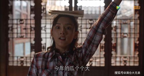 吃瓜娱乐圈的大番薯,番薯的瓜田奇遇记