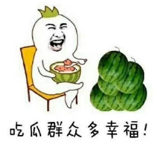 娱乐圈吃的瓜